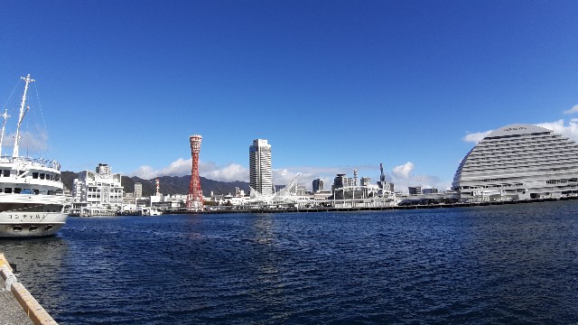 f:id:mamareina:20201126175845j:image f:id:mamareina:20201126175845j:image