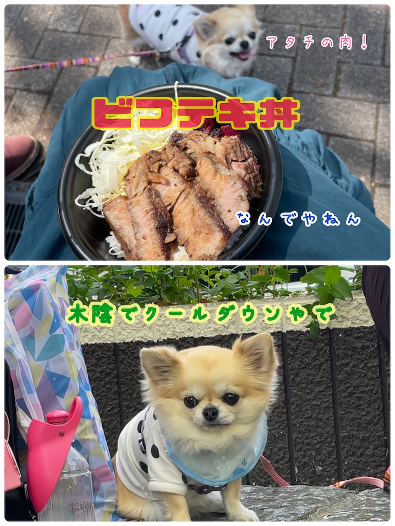 f:id:mamaria1120:20220413013239j:image