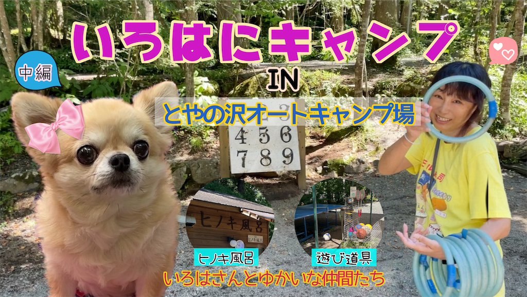 f:id:mamaria1120:20250119105252p:image f:id:mamaria1120:20250119105252p:image