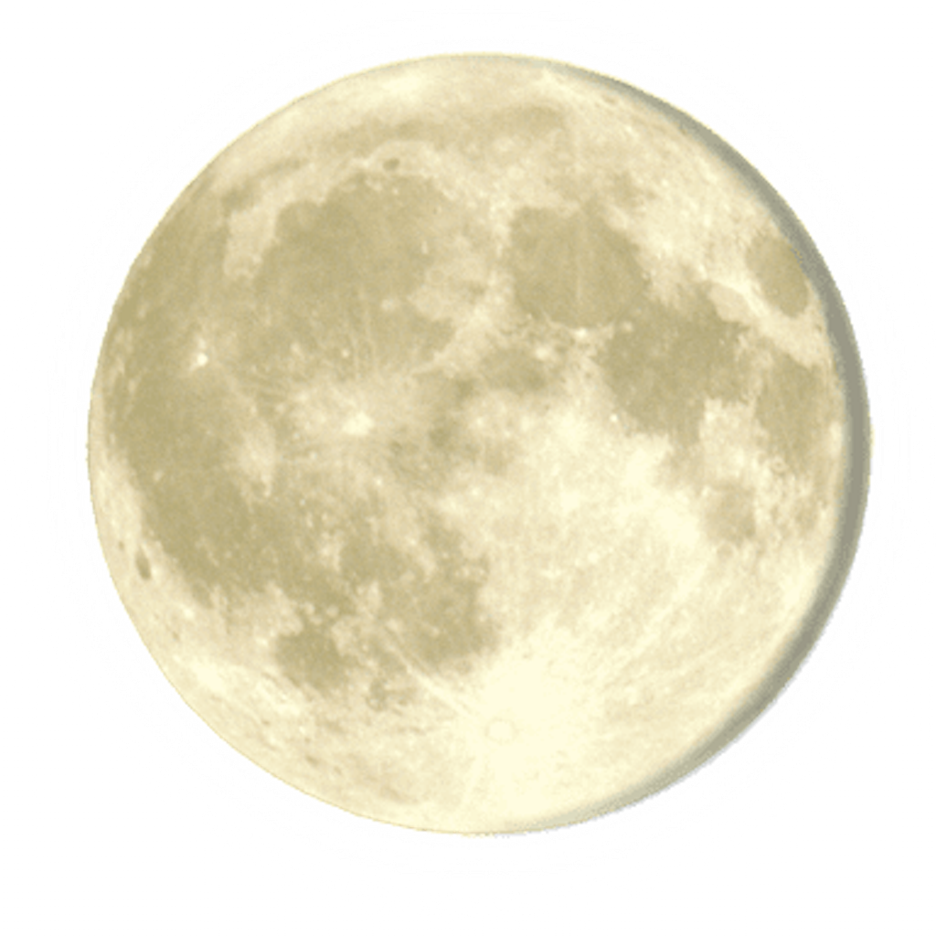 f:id:mamaron:20190720080606p:image f:id:mamaron:20190720080606p:image