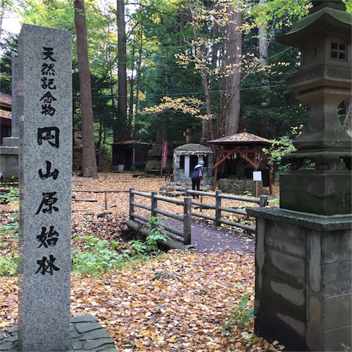 f:id:mamashizue:20161023094417j:image