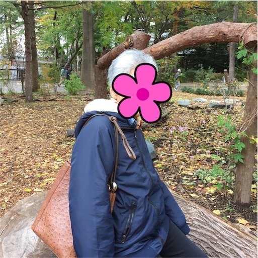 f:id:mamashizue:20161023095210j:image