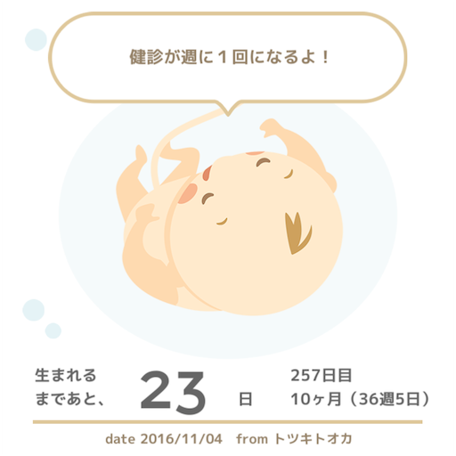 f:id:mamashizue:20161105141825p:image