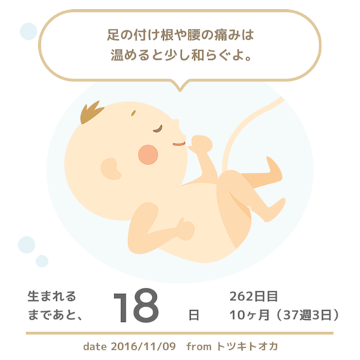f:id:mamashizue:20161110083258p:image