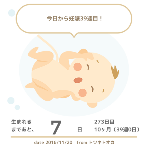 f:id:mamashizue:20161120151715p:image