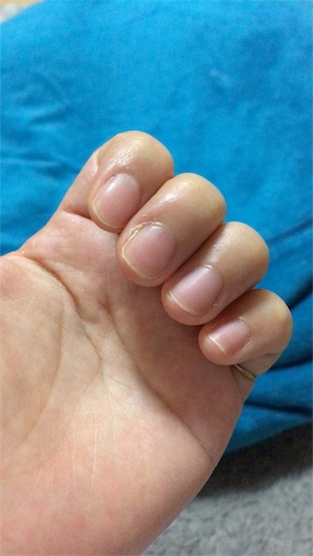 f:id:mamashizue:20170216184819j:image