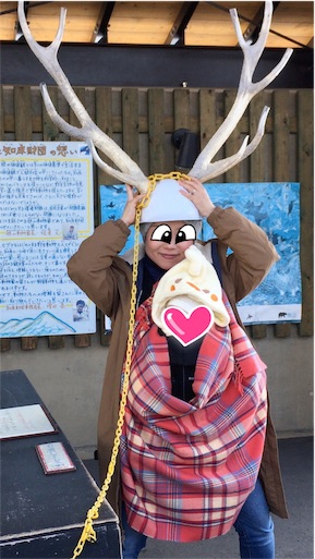 f:id:mamashizue:20170325162042j:image f:id:mamashizue:20170325162042j:image
