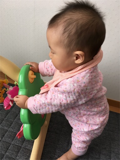 f:id:mamashizue:20170525031854j:image