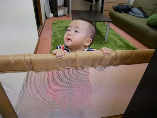 f:id:mamashizue:20170927111601j:image f:id:mamashizue:20170927111601j:image