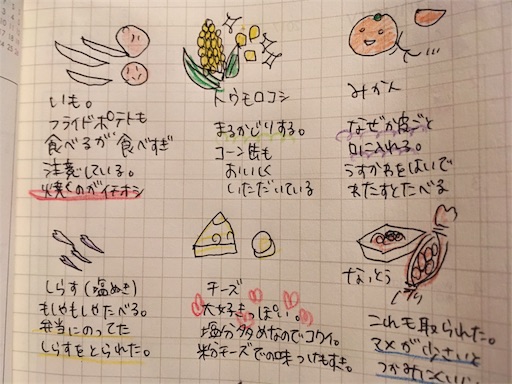 f:id:mamashizue:20171120224649j:image f:id:mamashizue:20171120224649j:image