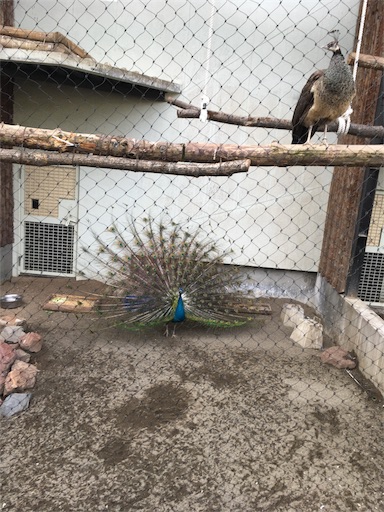 f:id:mamashizue:20180502060154j:image f:id:mamashizue:20180502060154j:image