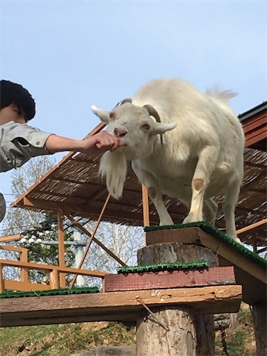 f:id:mamashizue:20180507212037j:image f:id:mamashizue:20180507212037j:image