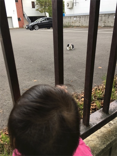 f:id:mamashizue:20180925094027j:image