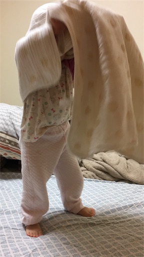 f:id:mamashizue:20190302154938j:image f:id:mamashizue:20190302154938j:image