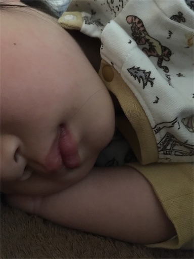 f:id:mamashizue:20190513060023j:image