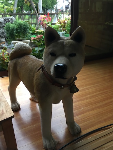 f:id:mamashizue:20190824092621j:image f:id:mamashizue:20190824092621j:image