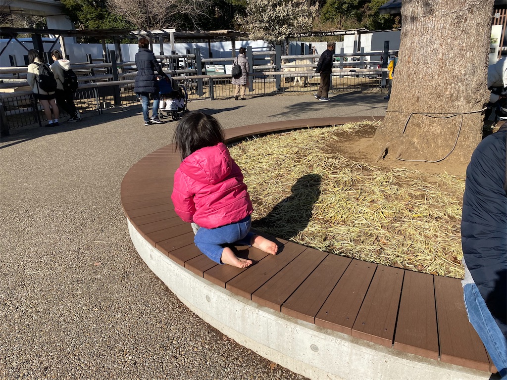 f:id:mamashizue:20200122170719j:image f:id:mamashizue:20200122170719j:image