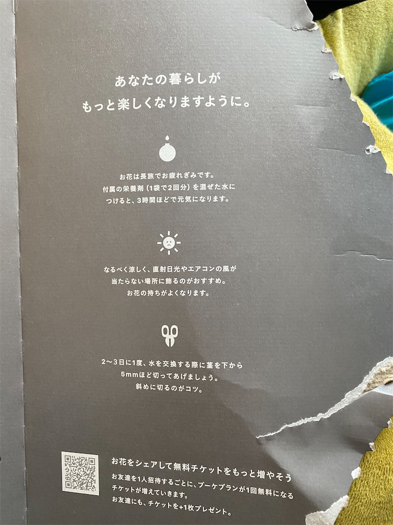 f:id:mamashizue:20200305131457j:image
