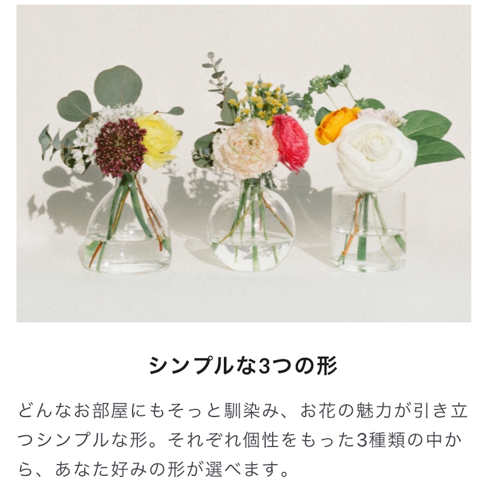 f:id:mamashizue:20200305131659j:image
