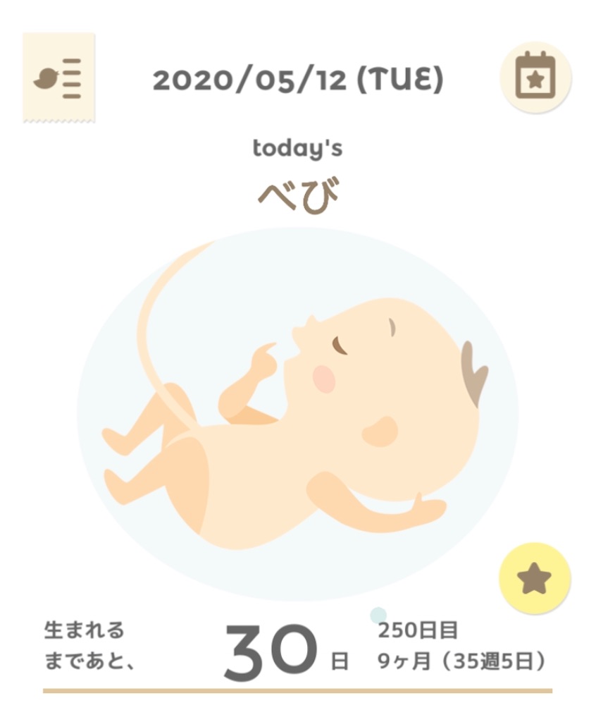 f:id:mamashizue:20200517073510j:image f:id:mamashizue:20200517073510j:image