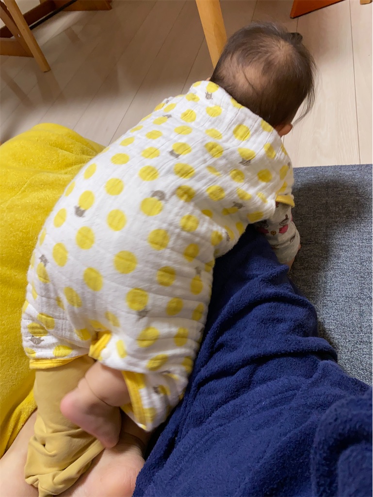 f:id:mamashizue:20201126211247j:image f:id:mamashizue:20201126211247j:image
