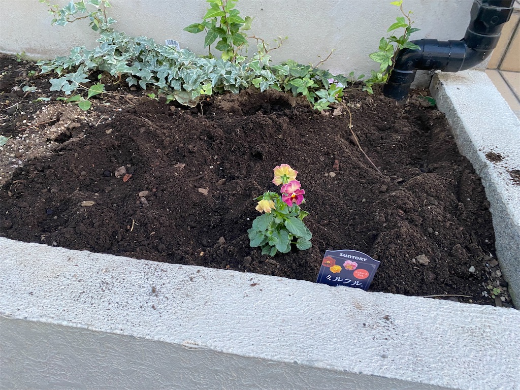 f:id:mamashizue:20231013230407j:image