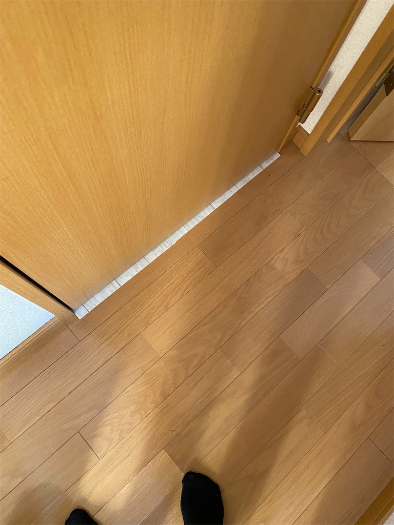 f:id:mamashizue:20231130182914j:image f:id:mamashizue:20231130182914j:image