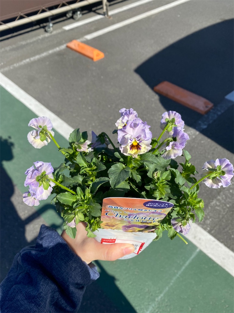 f:id:mamashizue:20240305150248j:image