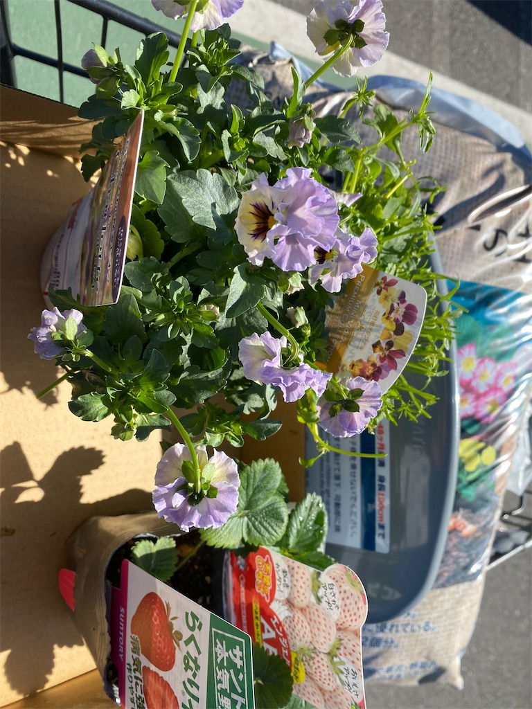 f:id:mamashizue:20240305150251j:image