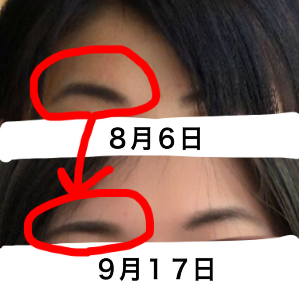 f:id:mamatara:20180917095129p:plain f:id:mamatara:20180917095129p:plain