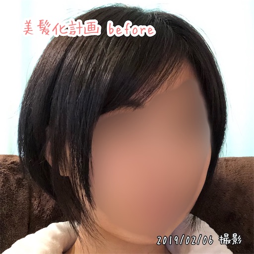 f:id:mamatara:20190205120200j:image f:id:mamatara:20190205120200j:image