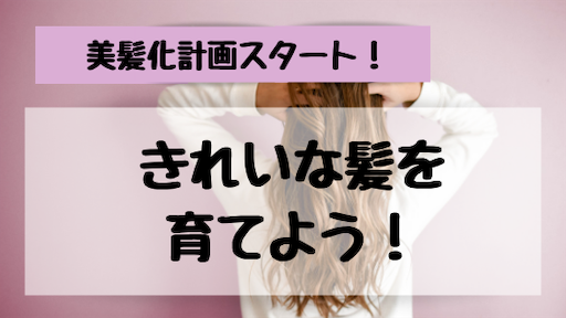 f:id:mamatara:20190212235005p:plain f:id:mamatara:20190212235005p:plain