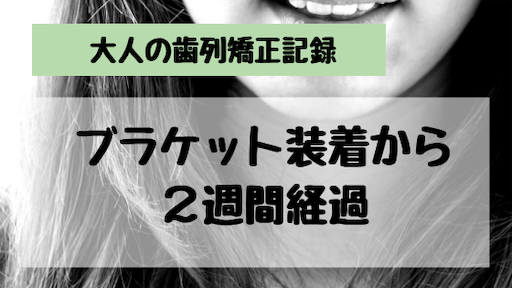 f:id:mamatara:20190212235018p:plain f:id:mamatara:20190212235018p:plain
