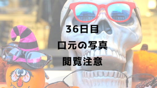 f:id:mamatara:20190224193130p:image f:id:mamatara:20190224193130p:image