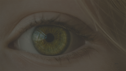 f:id:mamatara:20190308213213p:image f:id:mamatara:20190308213213p:image