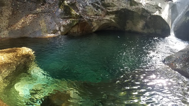 f:id:mamatinx:20191114201025j:image f:id:mamatinx:20191114201025j:image