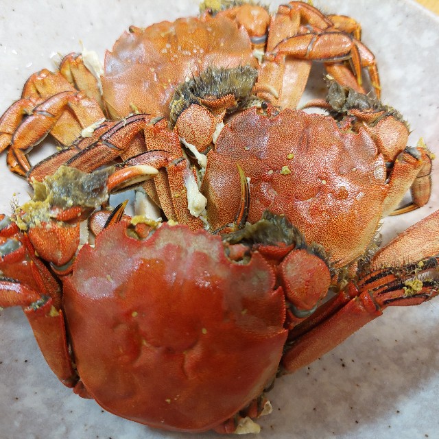 f:id:mamatinx:20241110130141j:image f:id:mamatinx:20241110130141j:image