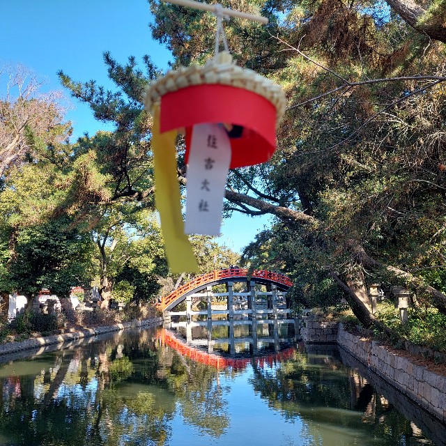 f:id:mamatinx:20250130085142j:image f:id:mamatinx:20250130085142j:image