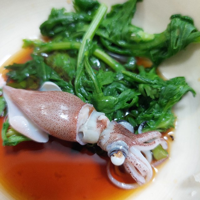 f:id:mamatinx:20250413190616j:image f:id:mamatinx:20250413190616j:image