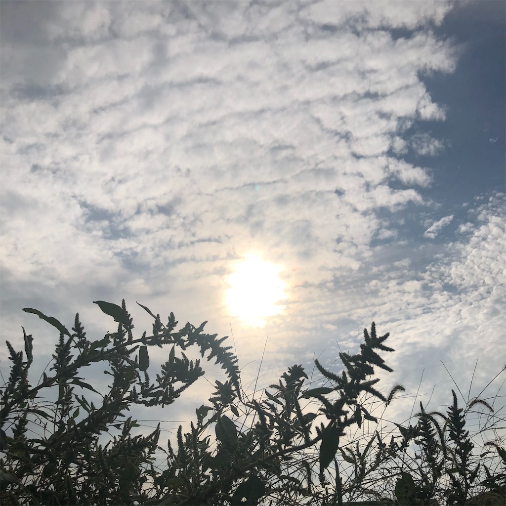 f:id:mamatokodomo:20181004004047j:image f:id:mamatokodomo:20181004004047j:image