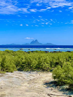 タヒチ,ボラボラ島,タハア島,ハネムーン