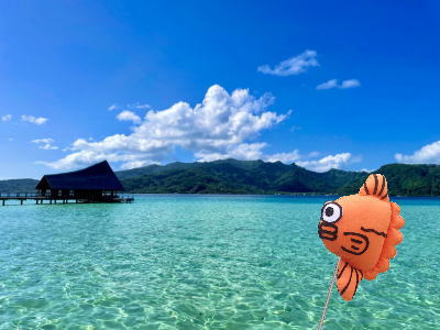 タヒチ専門旅行会社,ボラボラ島,タハア島,ハネムーン