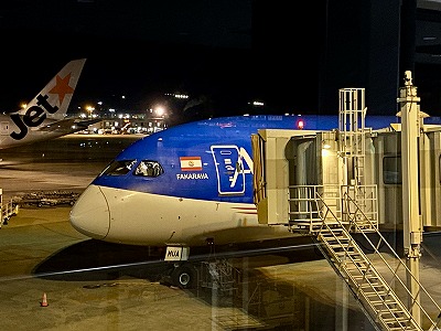 タヒチ,旅行記,エアタヒチヌイ