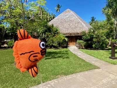 タヒチ,モーレア島,マナバモーレア