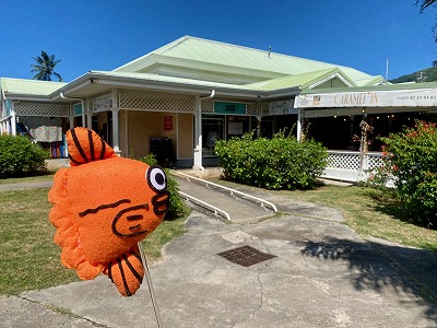 タヒチ,モーレア島,ランチ,お土産