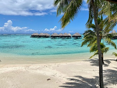 タヒチ,モーレア島,ヒルトンモーレア,旅行記