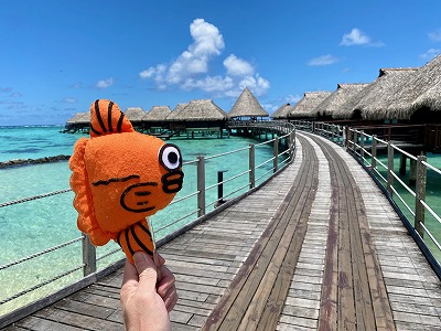 タヒチ,モーレア島,ヒルトンモーレア,旅行記,水上バンガロー