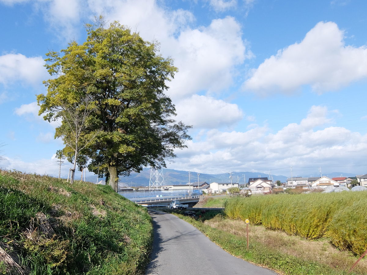 f:id:mame-lantern:20191103172206j:plain
