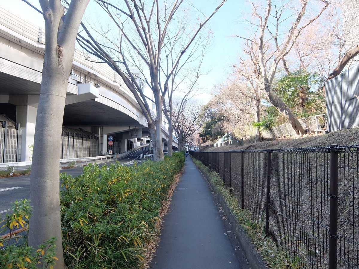 f:id:mame-lantern:20191230180709j:plain f:id:mame-lantern:20191230180709j:plain