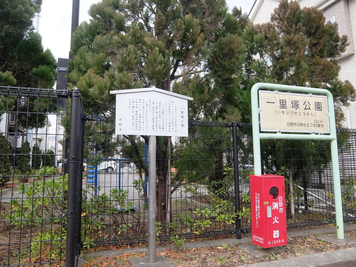 f:id:mame-lantern:20200201204614j:plain f:id:mame-lantern:20200201204614j:plain